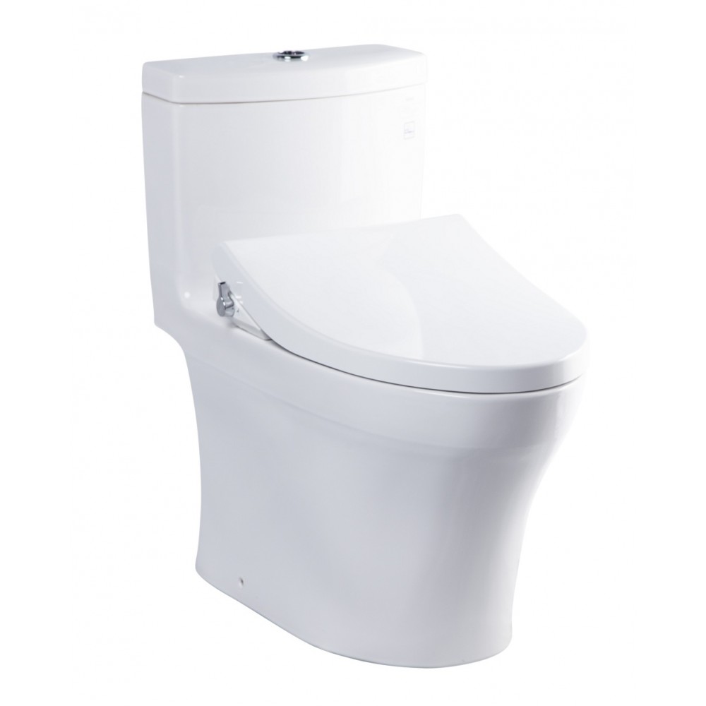 bon-cau-toto-MS889DE4