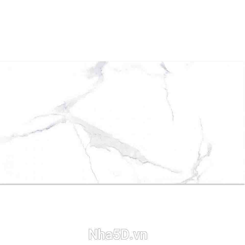gach-30x60-prime-03945